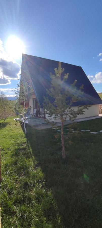 Pinewood Home Zabljak Eksteriør billede